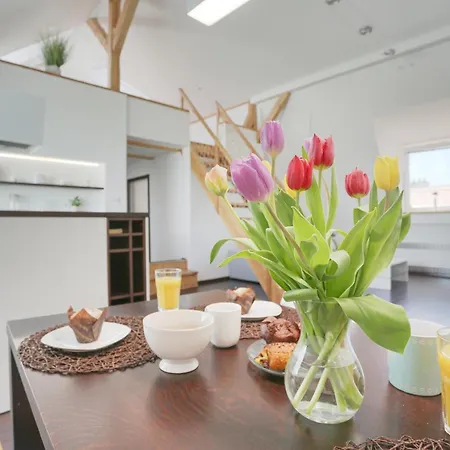 Loft Apartman Sumava Сушице Экстерьер фото