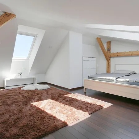 Loft Apartman Sumava Сушице Экстерьер фото